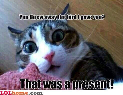 funnyquotedaily's tweet image. New Funny Picture: Nooo, you threw it!
