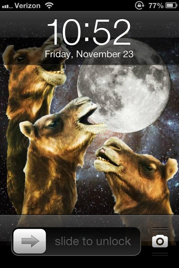 DailyWeedTweets's tweet photo. My new background http://t.co/FRGDbU5F