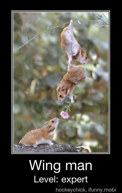 miilkkk's tweet photo. Wingman of the day award goes to... http://t.co/UTGGfDLE