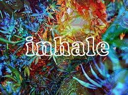 TheHighLife00 tweet picture