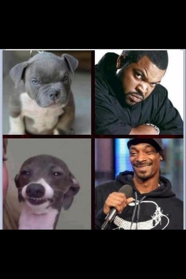 catherineee2013's tweet photo. ahahaha WOW! 🐶🐺 #theuglytruth http://t.co/QxAClGjX