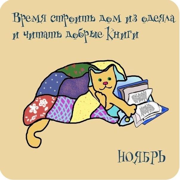 Открыткой днем, веселые картинки ноября