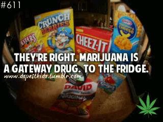 TheHighLife00 tweet picture
