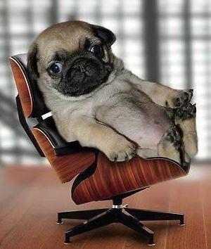 El equipo de Espacio Cooperativo les desea un excelente viernes