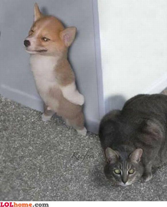 funnyquotedaily's tweet image. New Funny Picture: I’m going to scare him