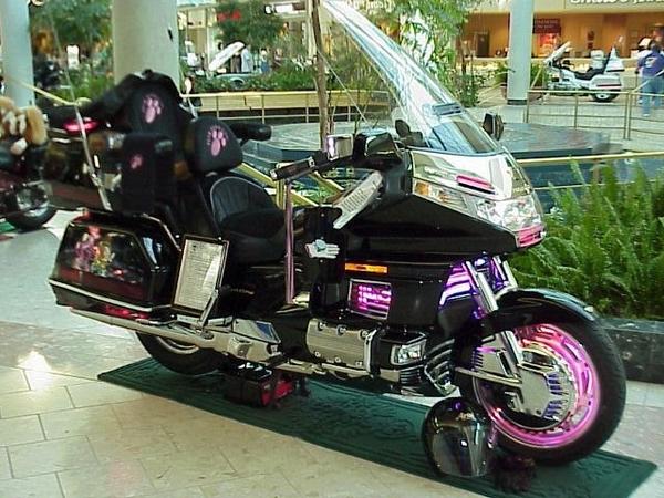 GoldWingGallery's tweet photo. http://t.co/lzw5Bzlp