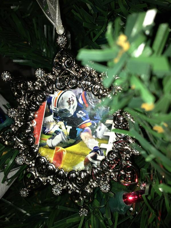 CarolRay's tweet photo. @lutzenkirchen YOU MADE IT ON MY TREE THIS YEAR! #War Eagle! http://t.co/Z2S01eGx