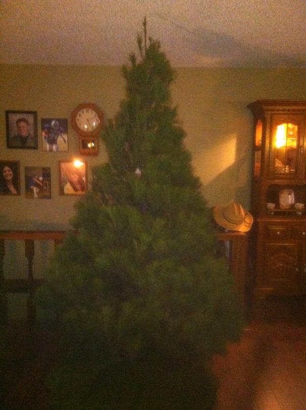 MikeESSDACK's tweet photo. @alihug @dwenmoth the tree is up for Christmas! We go as a family the day after Thanksgiving, select and cut the tree. http://t.co/eVbBviZ3