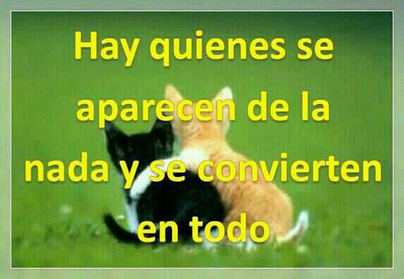 Asias x tos los buenos momentos <a href="/Pamela88YA/">Pamela Yañez</a> <a href="/kikemecuentas/">kikemecuentas</a> <a href="/irevallejo/">Ire Vallejo</a> <a href="/Beloriann/">Julio Delgado</a> <a href="/patri_ferga/">Patricia Fernández</a> <a href="/LauraDMaldonado/">Laura DiMald</a> #silvia