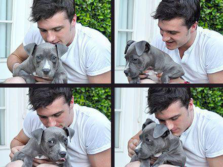 Mockingjay_2's tweet image. 