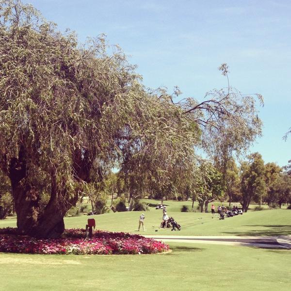catttttti's tweet image. Lake Karrinyup resort and country club #bestgolfcourseinperth #workfunction