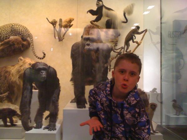 Andreas Bauer tweet media