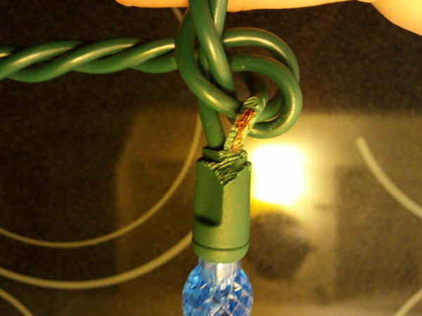 NeilTea's tweet image. Well I figured out why our new Xmas lights stopped working. Squirrels are a bunch of A-holes!