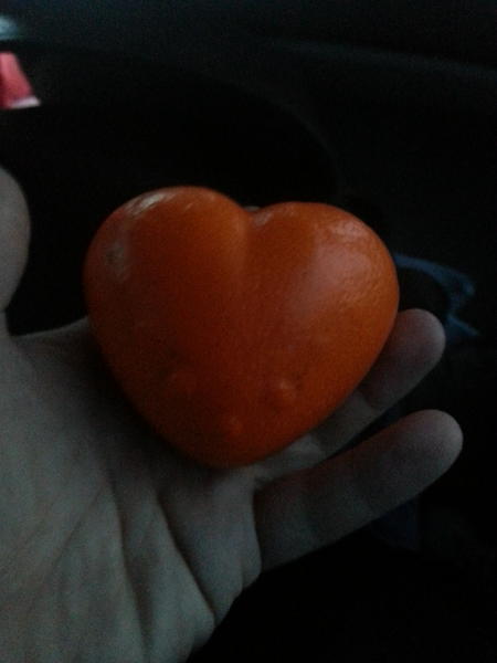 ZEA_TH's tweet photo. 귤이 어쩜이리도 사랑스러워..> <♥? http://t.co/eaf0eo7N
