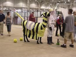 raven_of_fear's tweet image. i think the tl needs a llama dressed as a bee right now