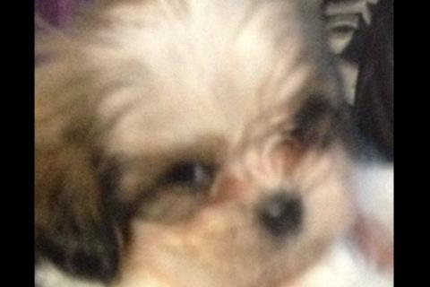 devonney02 tweet picture