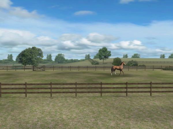 rydkas's tweet photo. Check out my photo! Add me, AntsySavvy227. #MyHorse http://t.co/EXjk1TWd http://t.co/t3tZ67y3