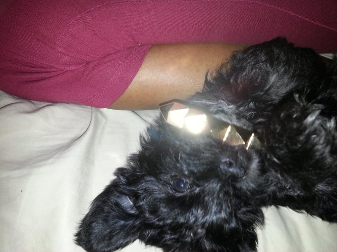 Watch kay 🐻 bear's leaked NSFW photo on TwXstars