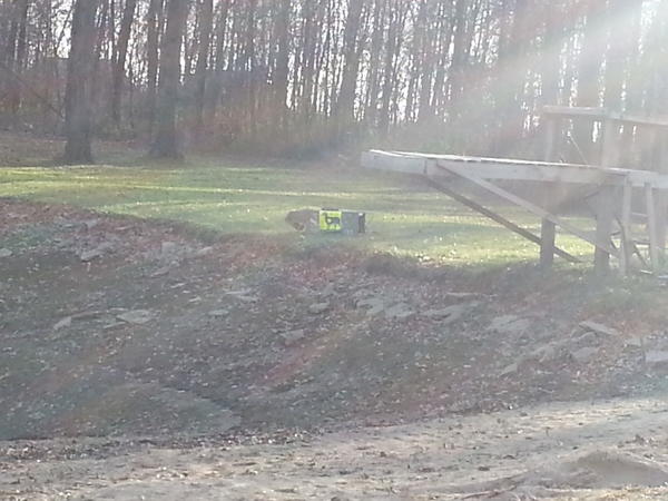 AshleyGiere's tweet image. Sitting at the pond while the boys shoot their guns #nicetarget #normalsunday #itscold