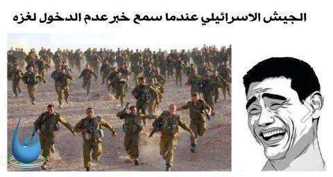 dode_honey's tweet image. 