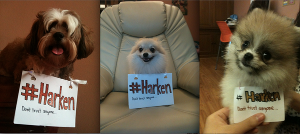 inksilverblue's tweet image. #KalebNation #HARKEN