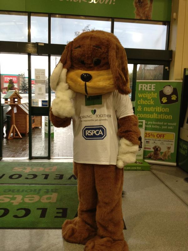Pets At Home On Twitter Robbie The Dog Shows His Support For The New Rspca Stockport Centre In Pets At Home Thumbs Up Rspca Official Http T Co Bgixakoo