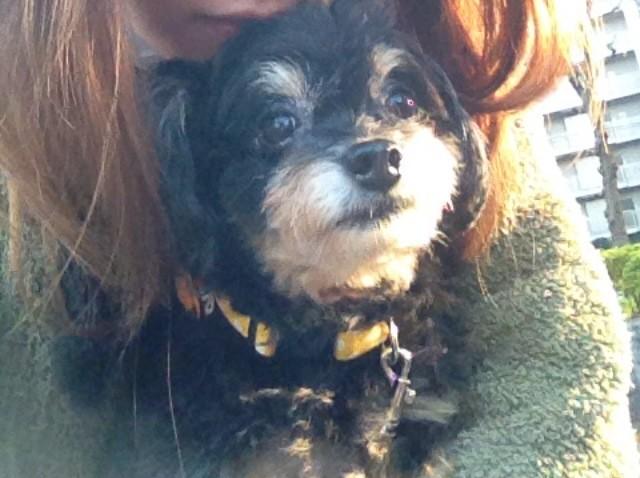 おはよー♡朝から癒される写真やね♡RT @mai_kamuro: おはよ♡ http://t.co/dRUePsn6<a class="tags" target="_blank" title="On Twitter" href="/?out=eyJ0eXAiOiJKV1QiLCJhbGciOiJIUzUxMiJ9.eyJpYXQiOjE3MjY5MTU3ODgsImlzcyI6InR3cG9ybnN0YXJzLmNvbSIsIm5iZiI6MTcyNjkxNTc4OCwiZXhwIjoxNzU4NDUxNzg4LCJyZWRpcmVjdF91cmwiOiJodHRwczovL3R3aXR0ZXIuY29tL21haV9rYW11cm8ifQ.ITQILCpYsgGMLRLfiVyKjZ5pzNxtKAUv1klYugIypy1xE_peBSnRR3dmlMn3sgOIThTyJaBCk_OkrcJZDuhX2A">@mai_kamuro</a><a href="/tag/feelon"class="tags"><span>#feelon</span></a>