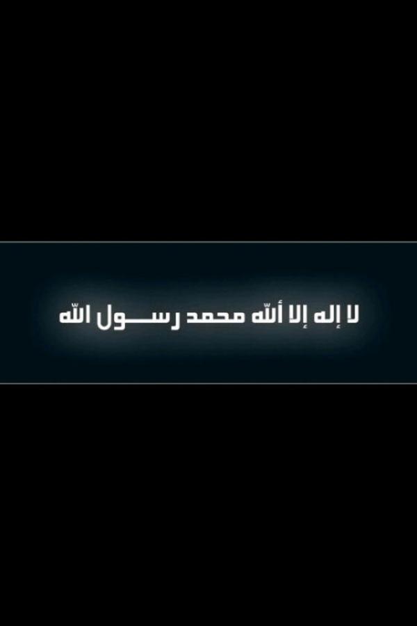 219_bb tweet picture