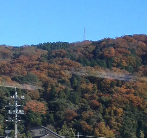 shioso_jp's tweet photo. 会社食堂から見える紅葉風景♪ http://t.co/W6F0VVm2