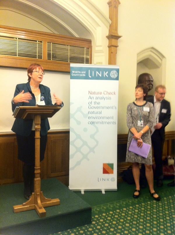 pauldezylva's tweet image. Joan Walley MP hosts @WCL_News's #NatureCheck report on the #GreenestGovernmentEver in Parliament's Churchill Room