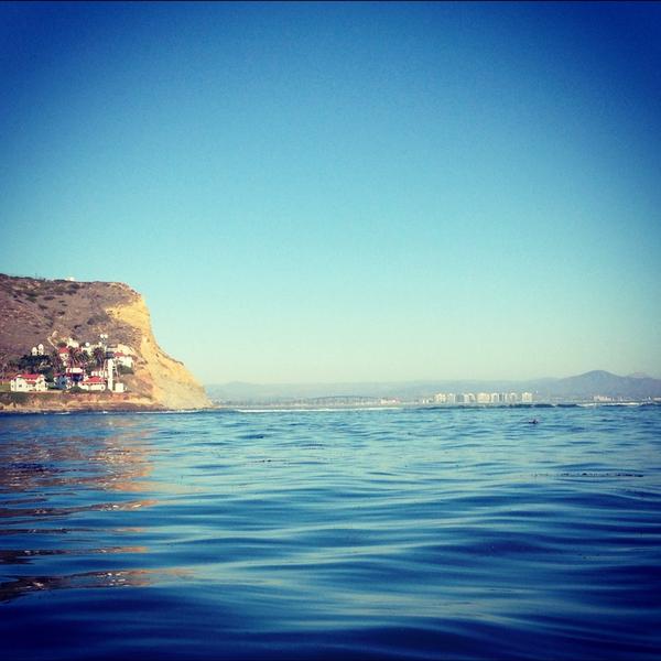 SaltieCharters tweet picture
