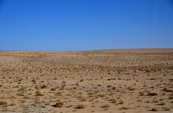 skinntrumpet's tweet image. Skåda Sånggruppen "The Zero Tops"!