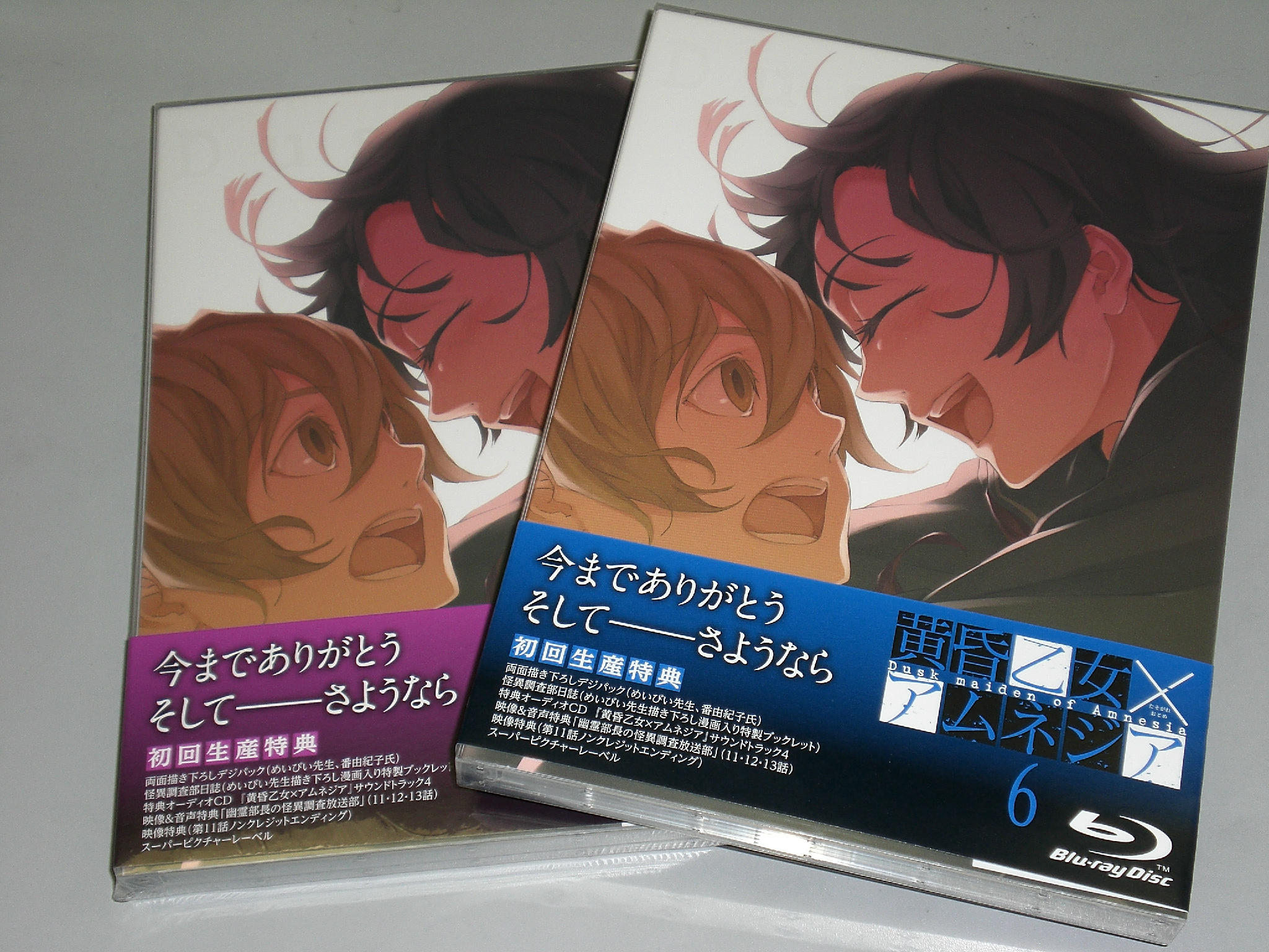 黄昏乙女×アムネジア (@amnesia_anime) / X