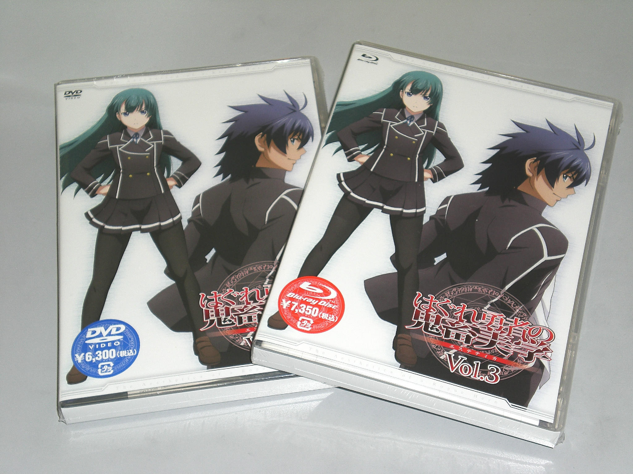 Blu-ray】TV はぐれ勇者の鬼畜美学 4 | アニメイト