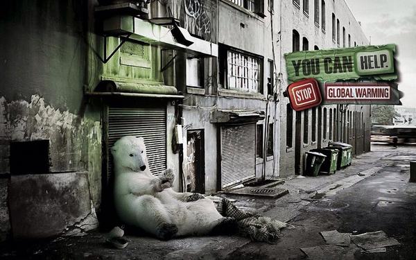 fabiorimassa's tweet photo. you can help ... http://t.co/WsmwuKGr