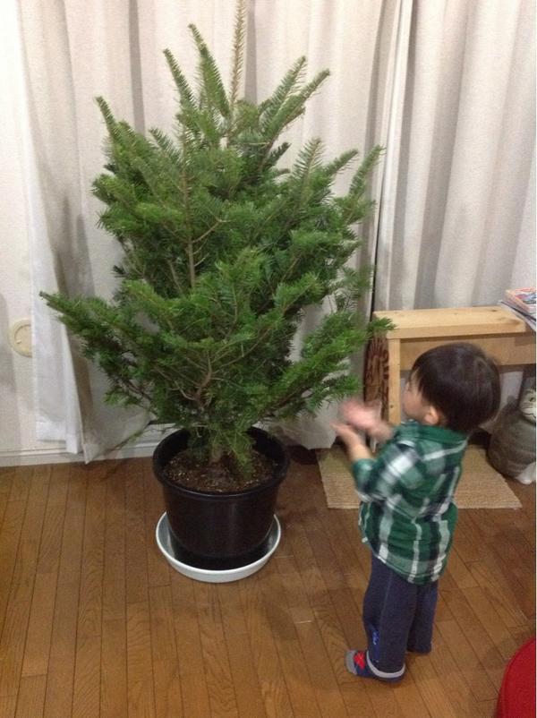 hal_kan tweet picture