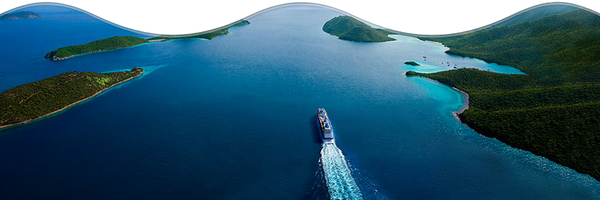 crucemarplus's tweet image. 