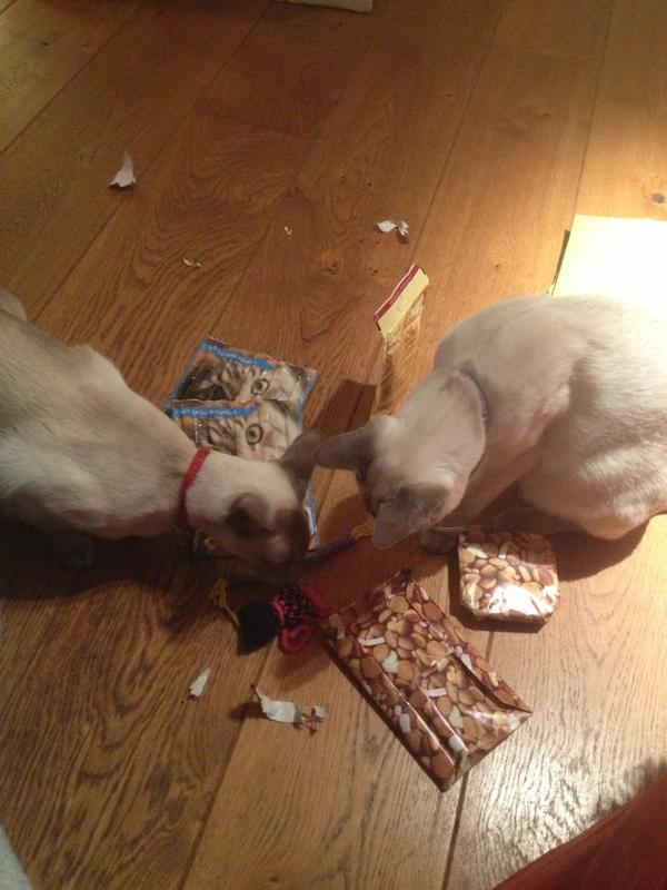Hè dat pakje ruikt ook lekker #twitsint @ZiPpErOtiz <a href="/Lillydehavanees/">Lilly#Newdog#Freecat</a>