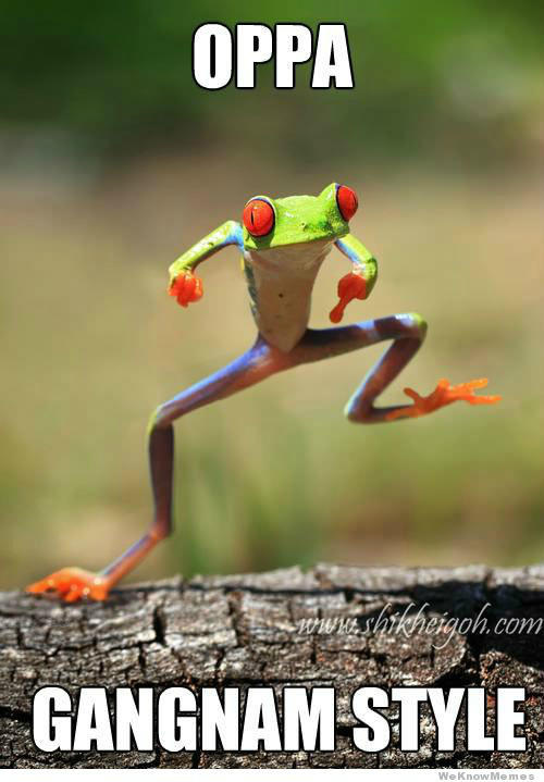 GangnamStyleXL's tweet photo. oppa gangnam style! http://t.co/eBdv6KfQ