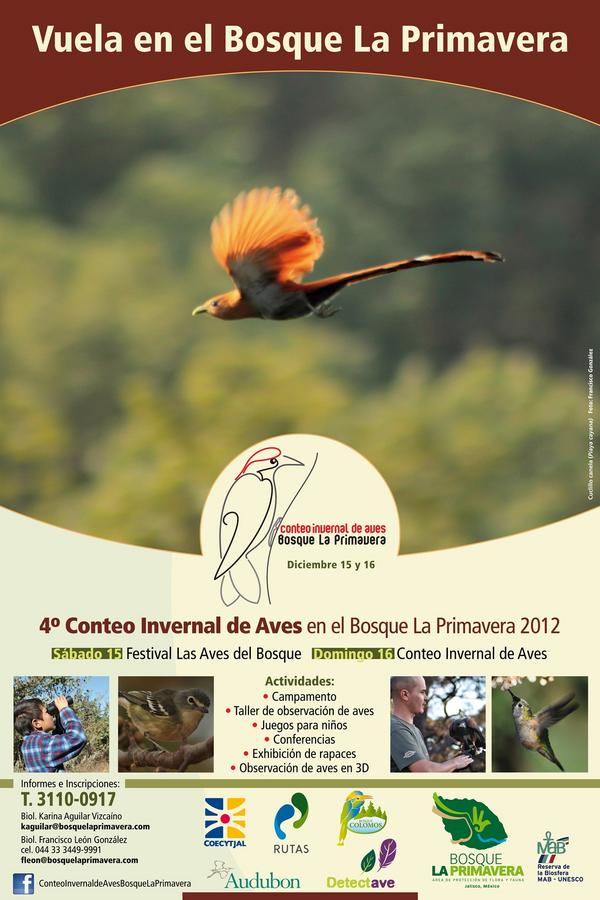 RutasAC's tweet photo. Festival Las Aves del Bosque y Conteo Invernal de Aves en @BosquePrimavera. Vamos! http://t.co/T5Fc66Jc