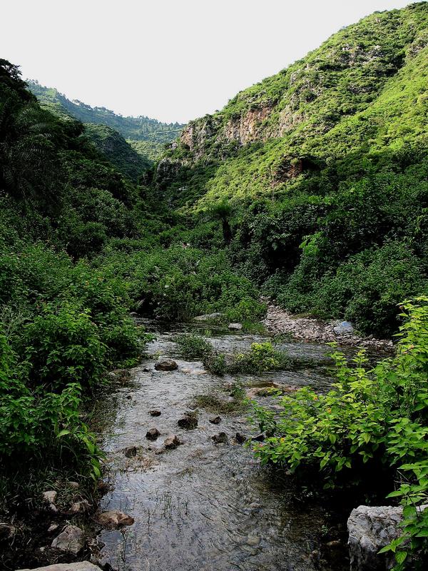 MargallaTrails's tweet photo. You must've been up some of the CDA tracks in #islamabad, but did you see this place? #pakistan #environment http://t.co/cBDRB6n4