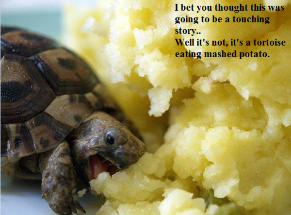 LewisssH's tweet photo. This deserves endless retweets... http://t.co/GlztGqYy