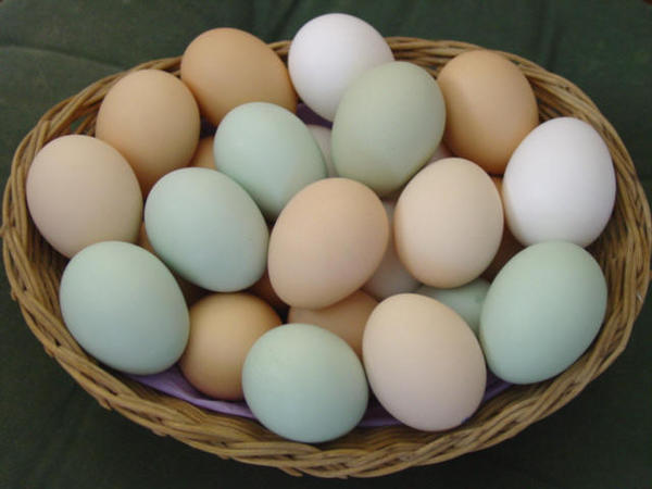 HomeRoomCafe's tweet photo. Küçük bir hatırlatma: Yumurtaları buzdolabına koymadan önce yıkamanızı öneririz. http://t.co/T8qCAlpO
