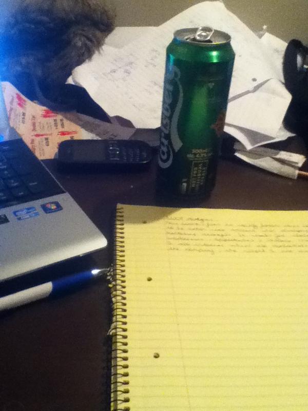 StephenHughes93's tweet image. Casual can while studying #ItsNeeded