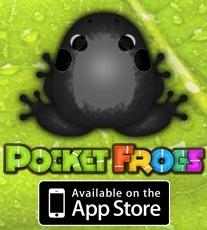 LesbiMom's tweet photo. Check out the Black Picea Anura from my Pocket Frogs collection!Lund

Ckkd http://t.co/XQyqCnY5