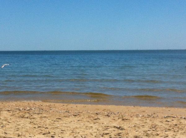 SallyMaple's tweet image. My perfect afternoon off #havethebestlife #ilovemelbourne