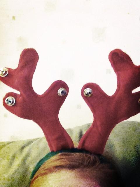 TheGemmeral's tweet image. This is what happens when too much warmed mulled cider is consumed... Not so fetch #notfetch #bringonthemerry