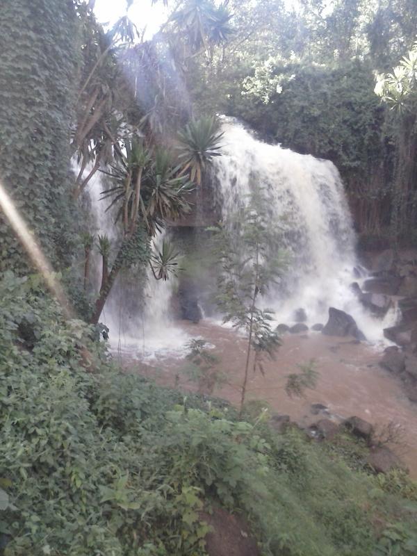 AKebati tweet picture