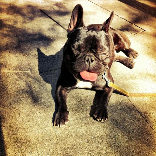 reginacsb's tweet photo. “@castor: Porfavor ayúdenme a encontrar a Emilio en la condesa! Porfavor!! http://t.co/3dfSE17M” @marthadebayle