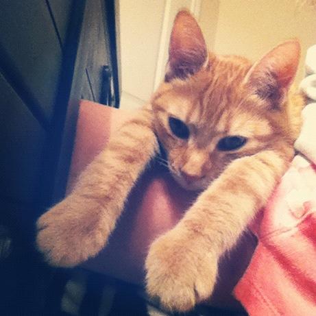 tbrooksbrown's tweet image. Miss this sweet thing. #divorceproblems #weekendcustody?